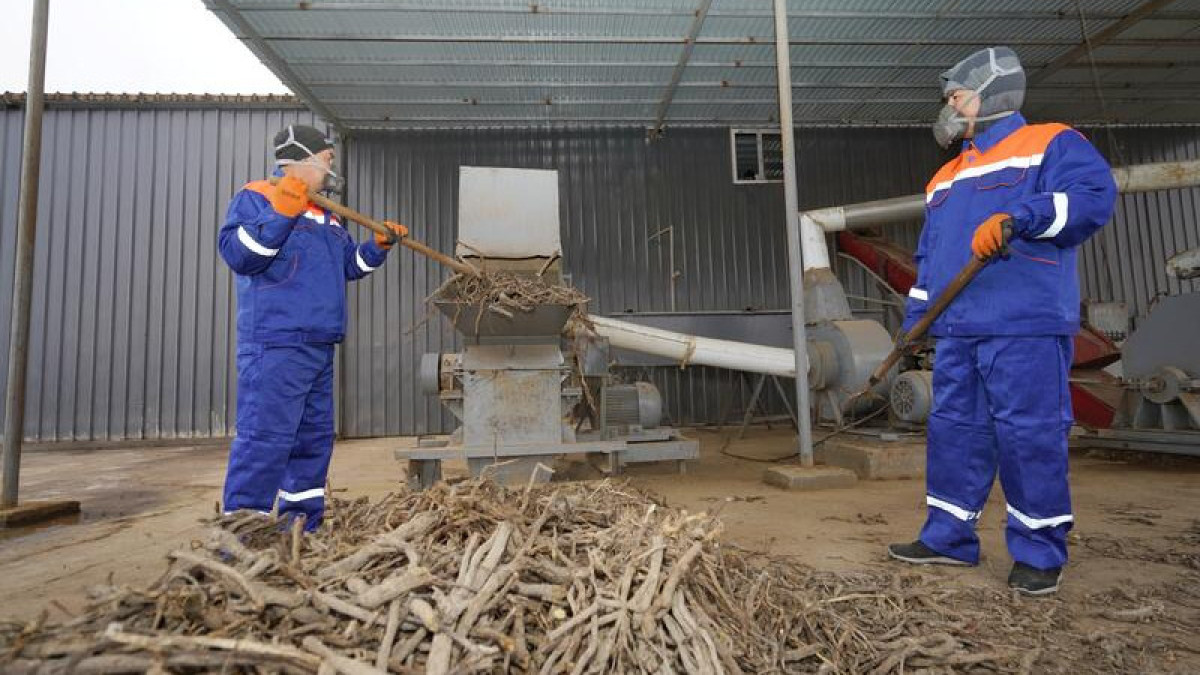  пресс-служба акима Туркестанской области 