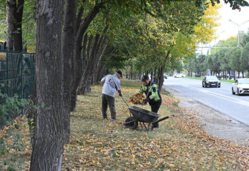Паспорт благоустройства в Алматы: что нужно знать предпринимателям