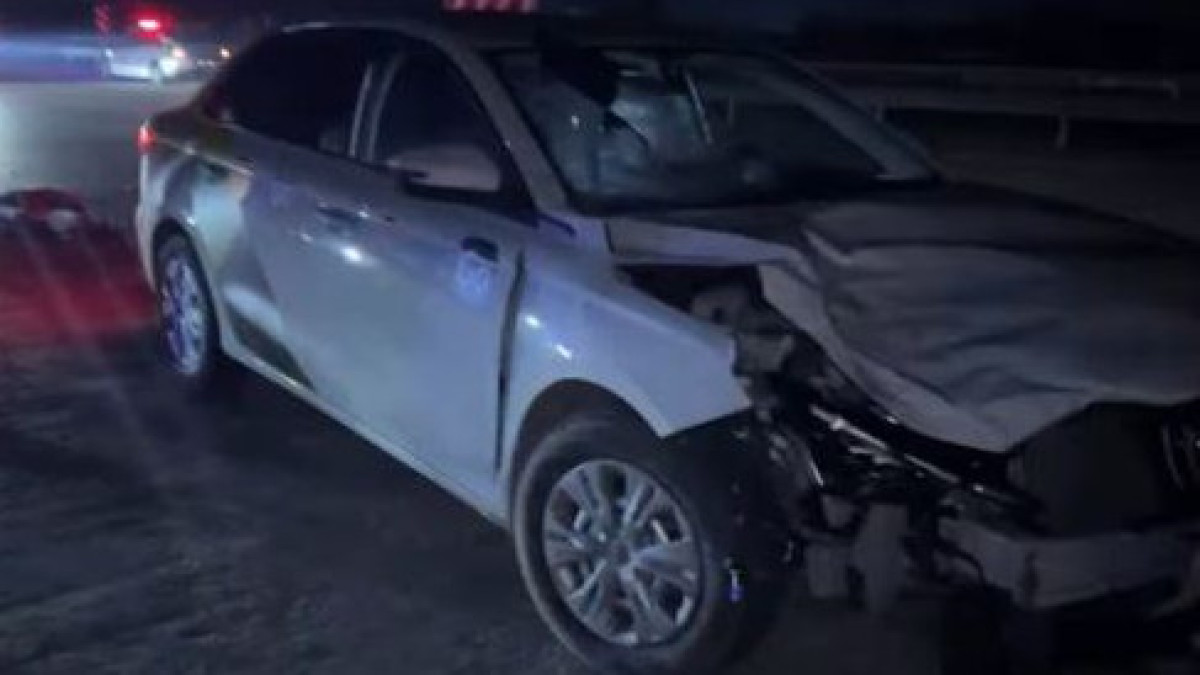  Видеодан кадр 