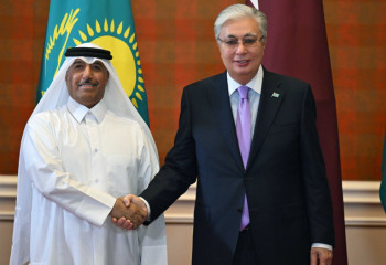 Мемлекет басшысы Nebras Power компаниясы директорлар кеңесінің төрағасымен кездесті