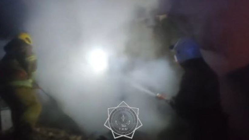  Видеодан кадр 