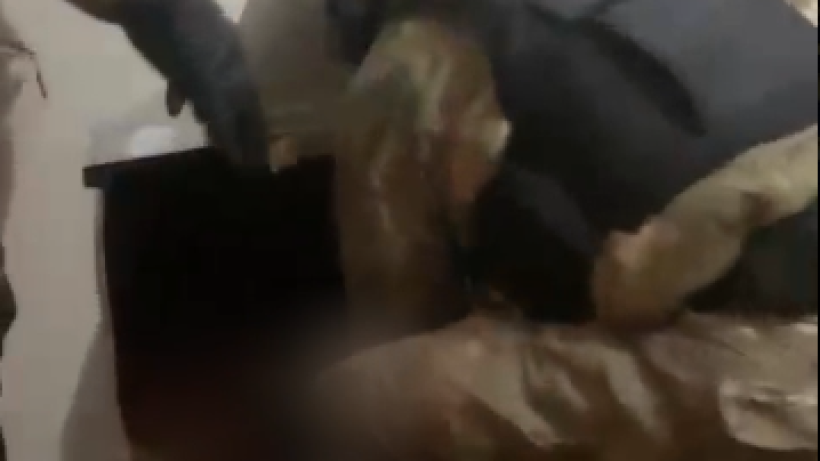  Видеодан кадр 