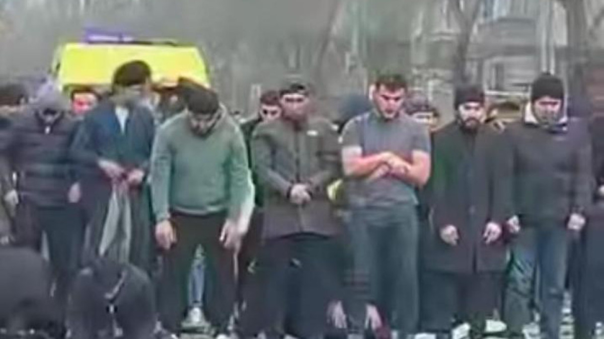  Видеодан кадр 