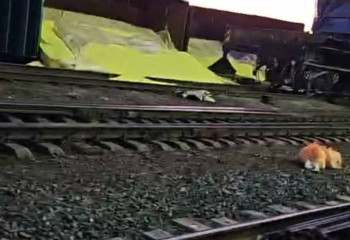 Атырау облысында вагон аударылып, күкірт шашылып қалды