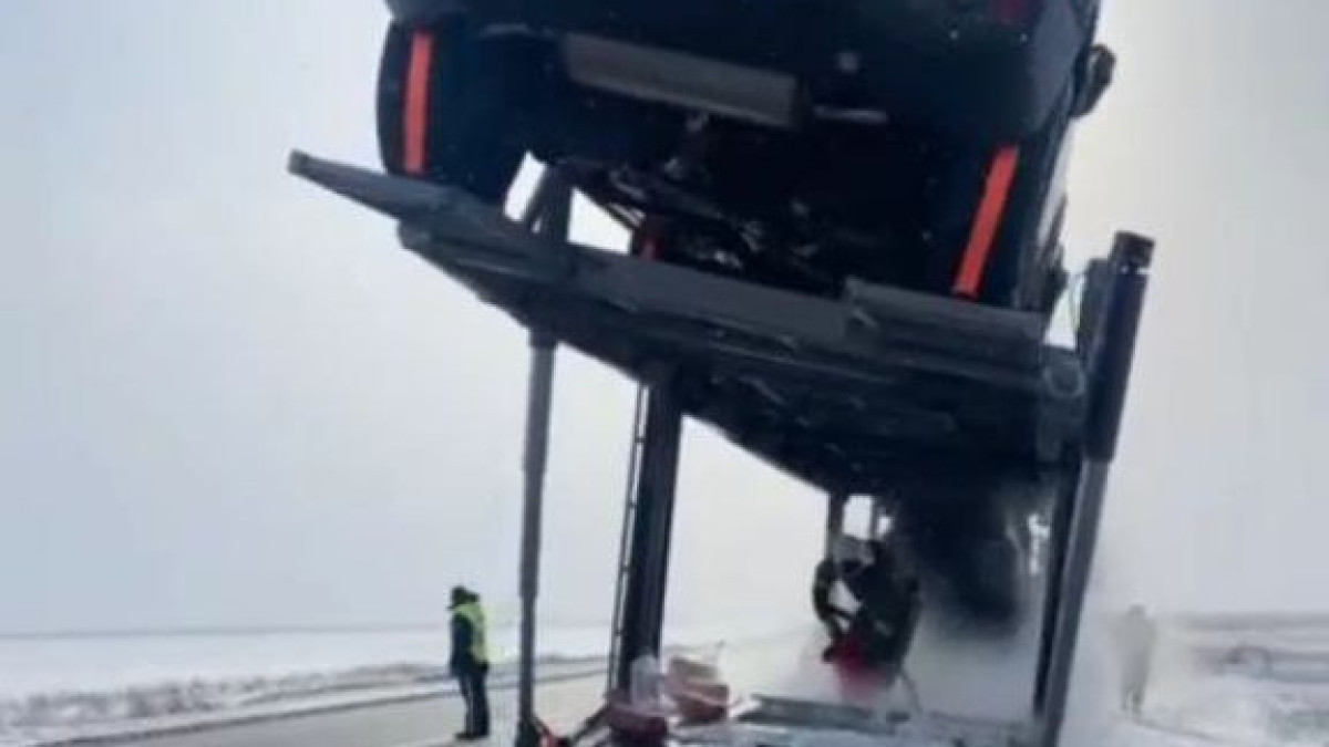  Видеодан кадр 