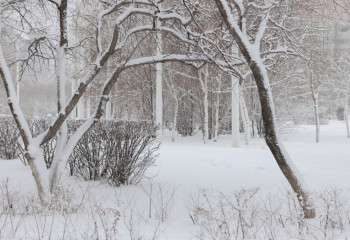 Еліміздің қай өңірлерінде ауа райына байланысты ескерту жарияланды