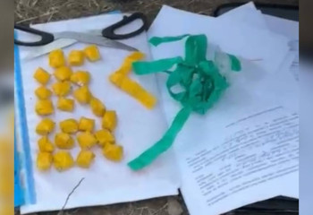 Наркозакладчику из Кокшетау грозит до 10 лет лишения свободы