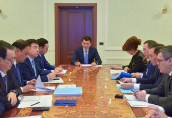 Мемлекеттік кеңесші этносаралық келісімді нығайту жөніндегі кеңеске қатысты