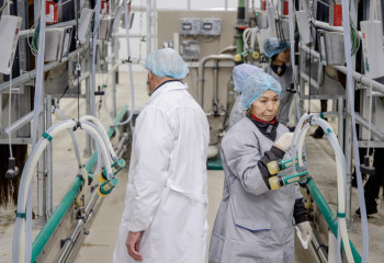 Қостанайда жылына 10 мың тонна сыр өндіретін зауыт іске қосылады