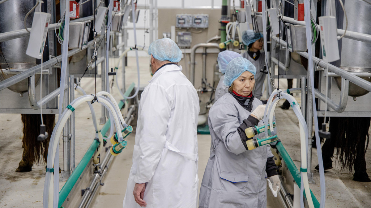  Ауыл шаруашылығы министрлігі 