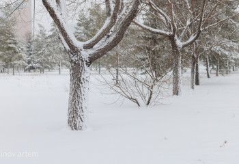 Құтқарушылар елордалықтарға үндеу жасады