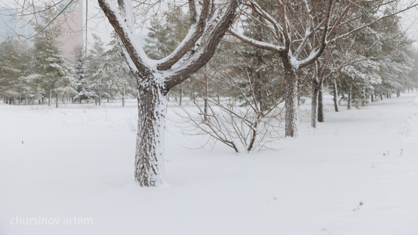  ©El.kz/Артем Чурсинов 