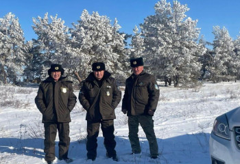 Жаңа жыл қарсаңында Қарағанды облысында қылқан жапырақты ағаштарды қорғау күшейтілді