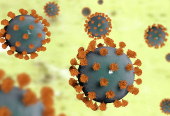 Солтүстік Қазақстанда екі адамнан шошқа тұмауы анықталды