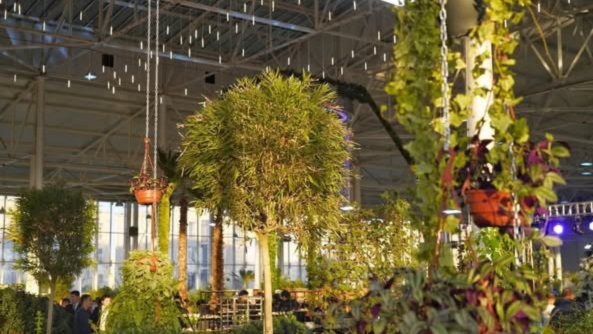  Түркістан облысы әкімдігі 