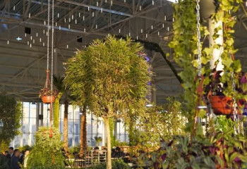 Түркістанда ботаникалық бағы бар 