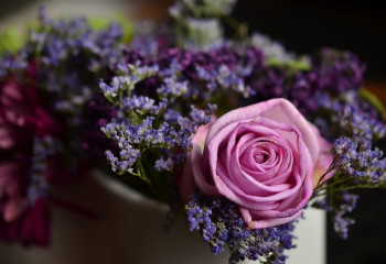 Сүйіктісіне ұрланған гүл сыйлаған жігіт жауапқа тартылды