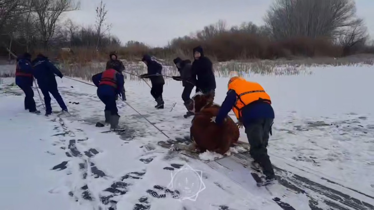  Кадр из видео 