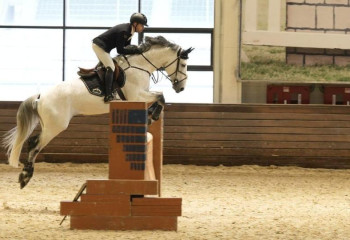 Тәуелсіздік күніне орай елордада конкурдан жарыс өтіп жатыр