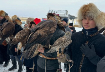 Баянауылда еліміздің үздік бүркітшілері бас қосты