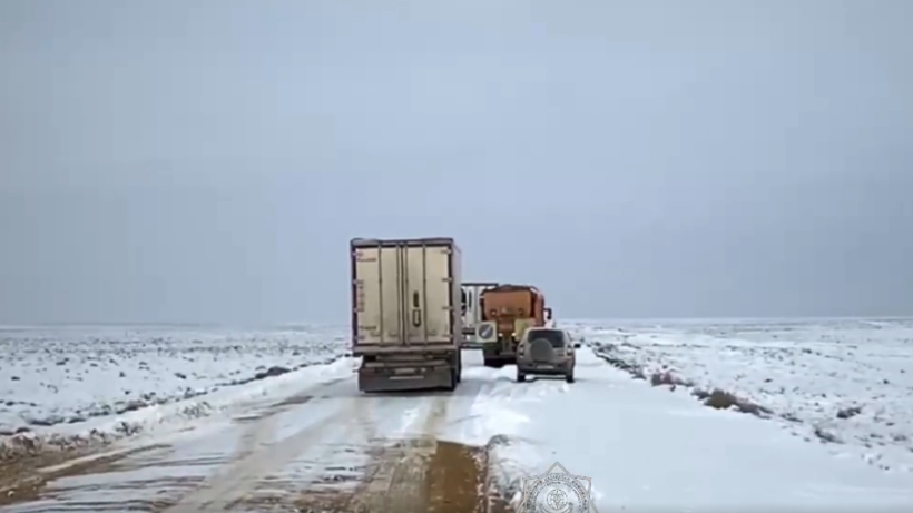  Видеодан кадр 