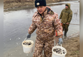 В Жайык-Каспийском бассейне спасены 300 тысяч мальков рыб