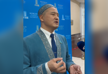 Ит пен мысыққа бөлінген қаржы мүгедектерге жетпейді – депутаттың жанайқайы