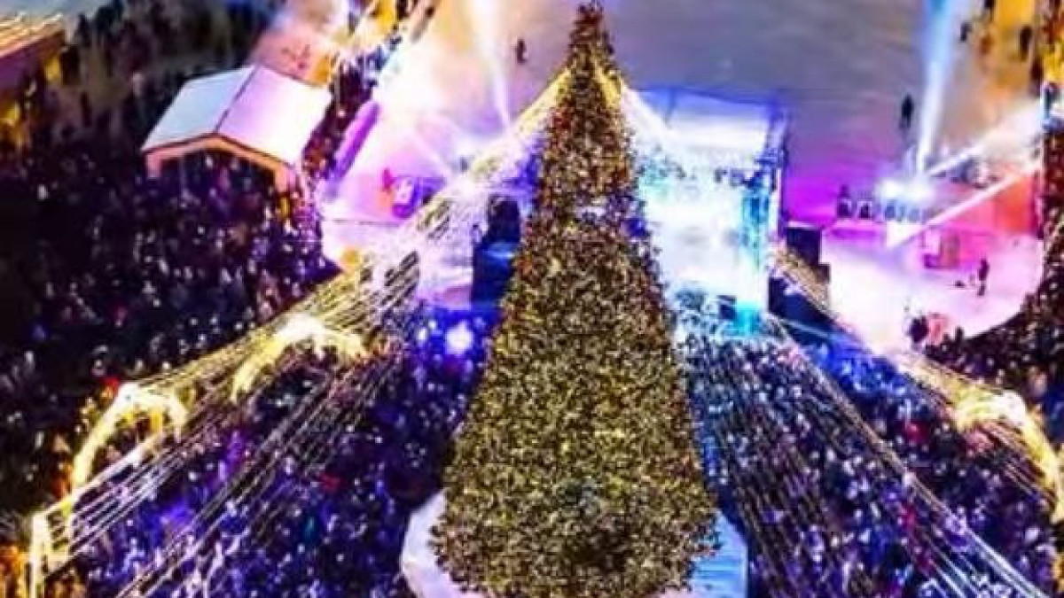  Видеодан кадр 