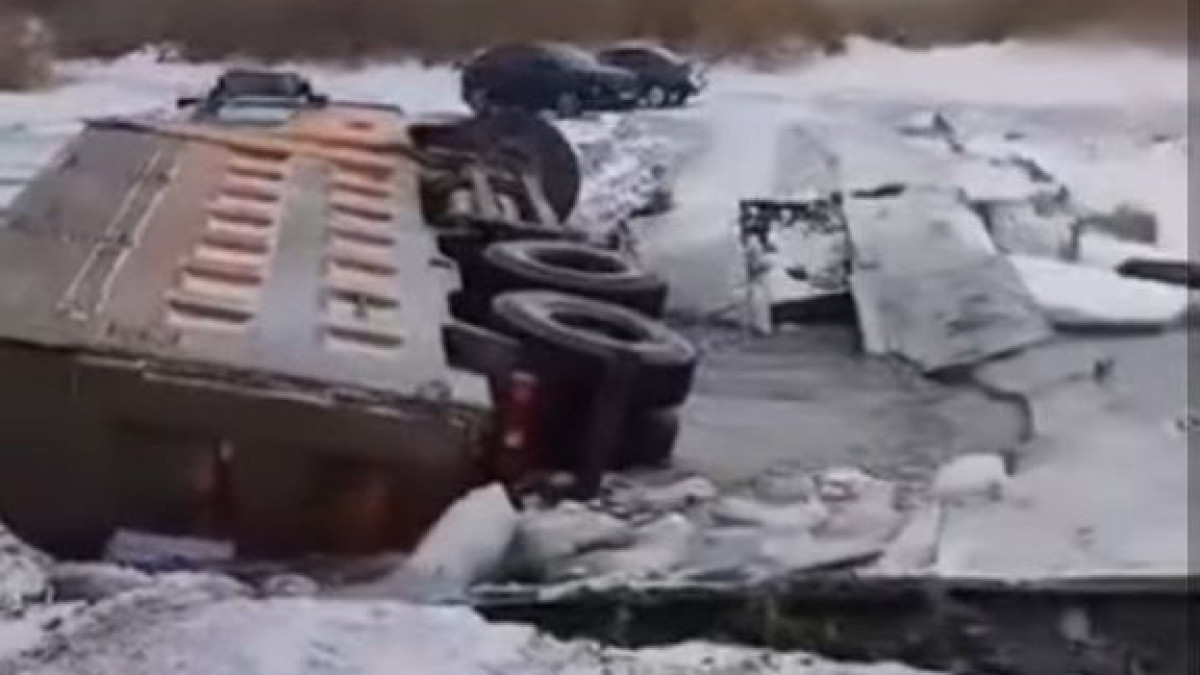  Видеодан кадр 