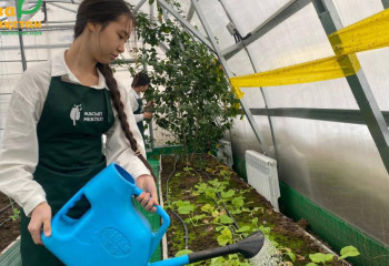 «Таза Қазақстан»: Астананың 20 білім ошағындағы жылыжайда жемістер мен көкөністер өсіріледі