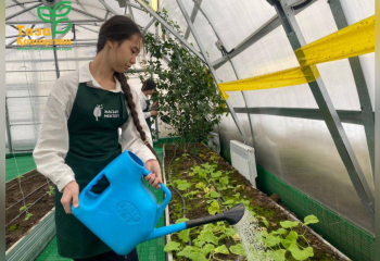 Фрукты и овощи выращивают школьники Астаны