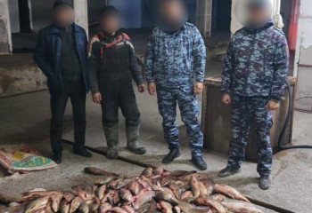 Түркістан облысында браконьерлерден мың метрден астам «қытай торы» тәркіленді