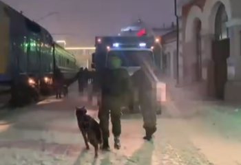 Обещал машины из Кореи, взял деньги и уехал в Россию: мошенника экстрадировали в Казахстан