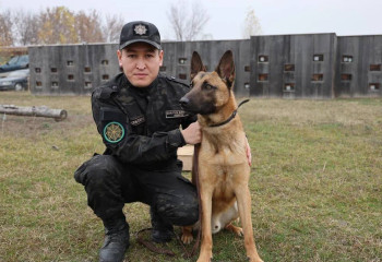 Қазақстаннан 529 мың долларды заңсыз алып шықпақ болғандар ұсталды