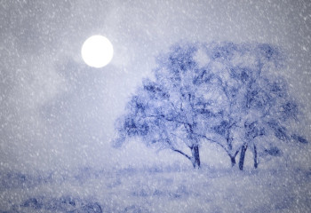 Еліміздің көп бөлігінде қар жауады