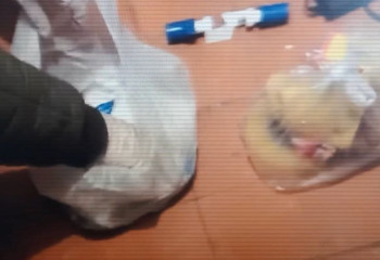 Семейная пара задержана по подозрению в изготовлении и хранении наркотиков в Алматы