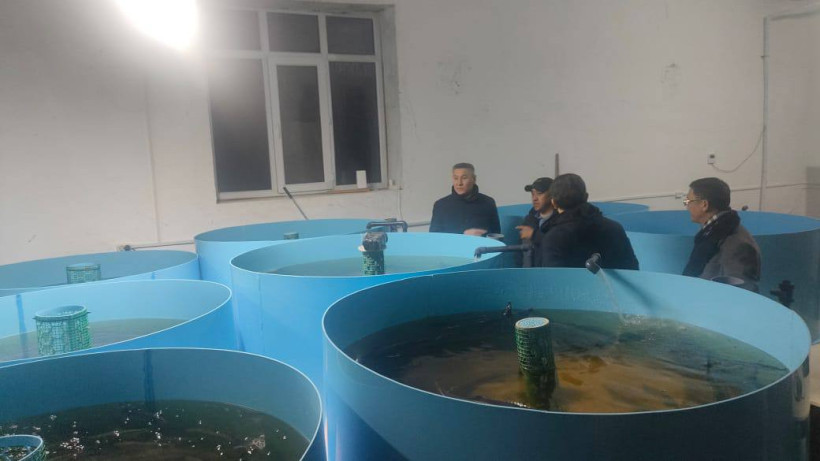  Ауыл шаруашылығы министрлігі 