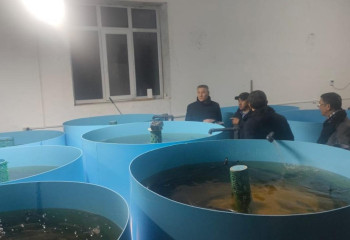 Вице-министр сельского хозяйства посетил Мангистаускую область и встретился с товаропроизводителями