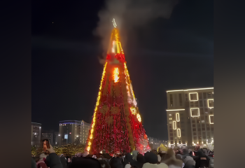 Новогодняя елка в Шымкенте вспыхнула пламенем при зажжении