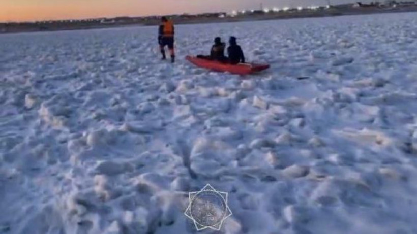  Видеодан кадр 