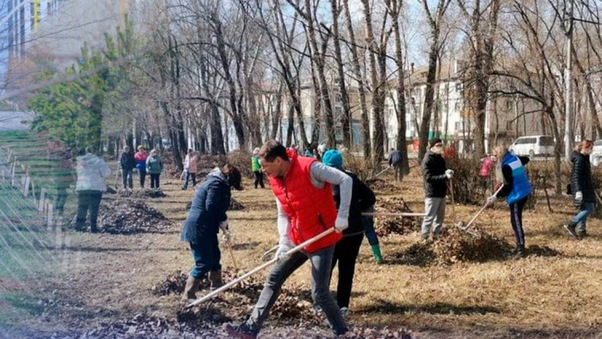 Жыл қорытындысы: «Таза Қазақстан» экология болашағы үшін миллиондаған адамды біріктірді