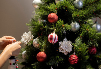 Глава отдела образования Семея уволен после травмы учителя при оформлении ёлки