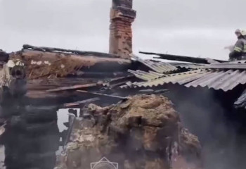 «Ағашпен бірге бөтелке салып жіберген»: Қайғылы оқиғаның себебі айтылды