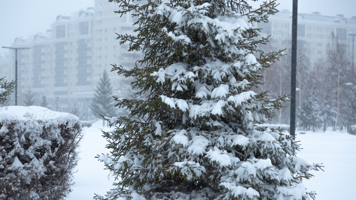  ©El.kz/Арман МУХАТОВ 