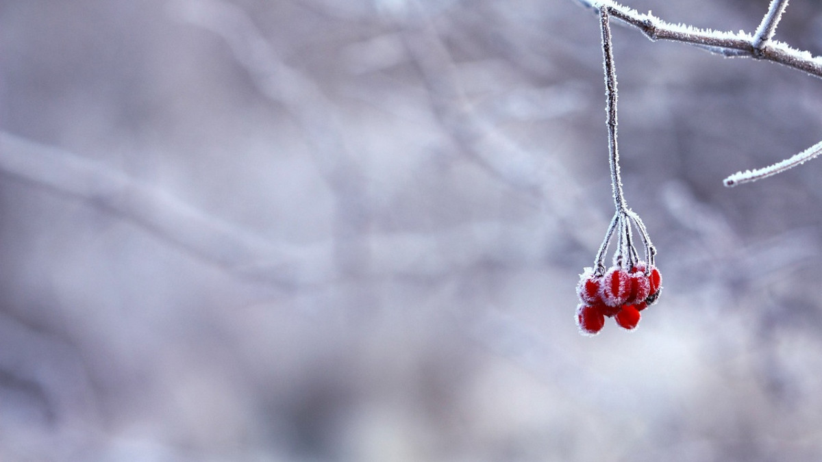  pixabay.com 