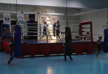 Спортом в Павлодарской области охвачены 24 тысячи юных жителей региона