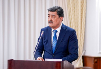 Биыл заңсыз ағаш кесу бойынша 112 факті анықталды