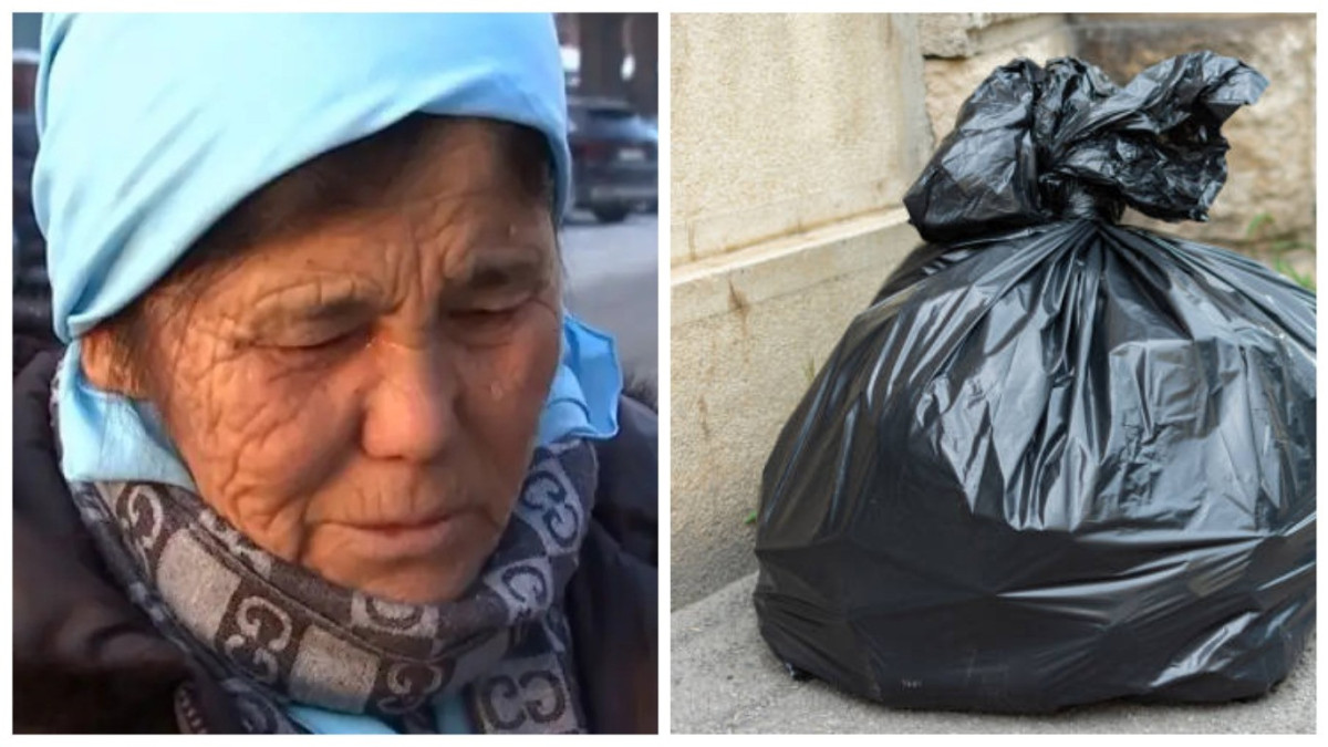  коллаж El.kz 