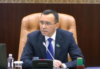 Ұшақ апатынан қаза болғандардың отбасыларына қолдау керек – Мәулен Әшімбаев