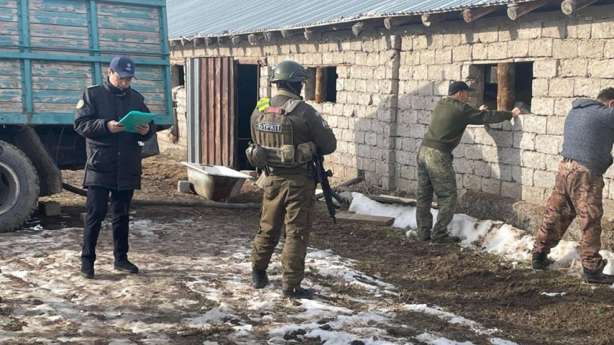  Прокуратура Туркестанской области 